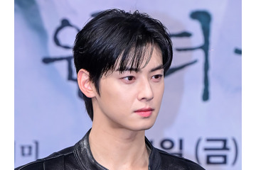 「逃げるために入隊した？」200億ウォン脱税疑惑で揺れるチャウヌ　国税庁の沈黙が“特別扱い説”を呼ぶ事態に 画像