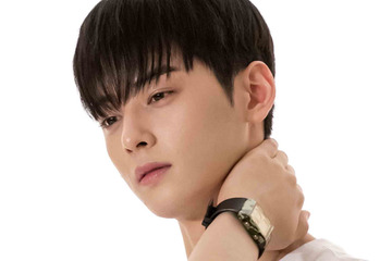 過去の“行きつけ紹介”が仇に？チャウヌの巨額追徴課税問題、母の“ウナギ店”が論点に　弁護士が指摘 画像