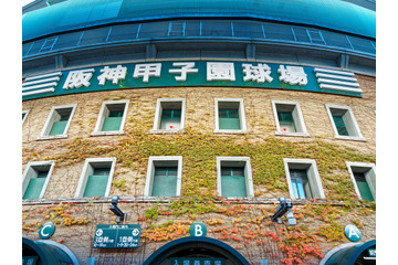 春のセンバツ甲子園2026、出場校32校が決定！初出場は帝京長岡・高知農 画像