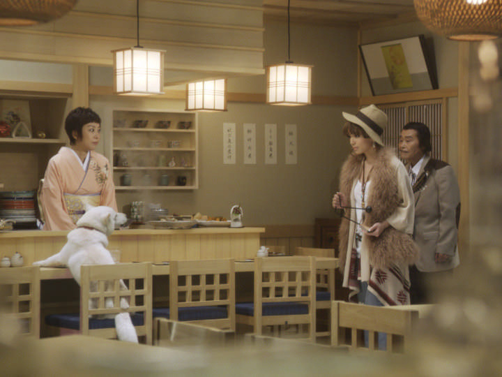 浜崎あゆみとお父さん犬が共演するソフトバンク新cmがhpで公開中 Rbb Today