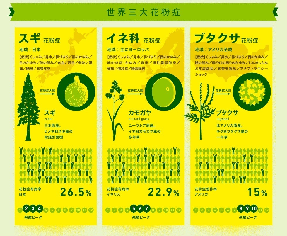 世界三大花粉症とは 世界のどこかはいつも花粉シーズン Rbb Today