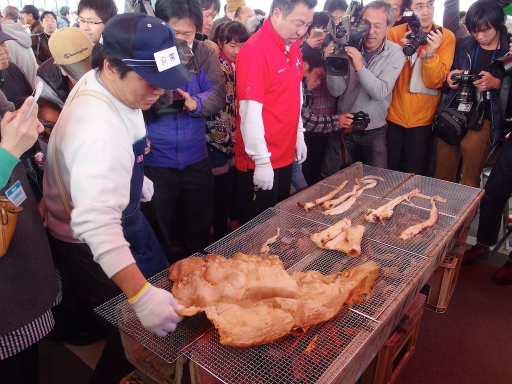 ダイオウイカ 「巨大生物 進化の謎