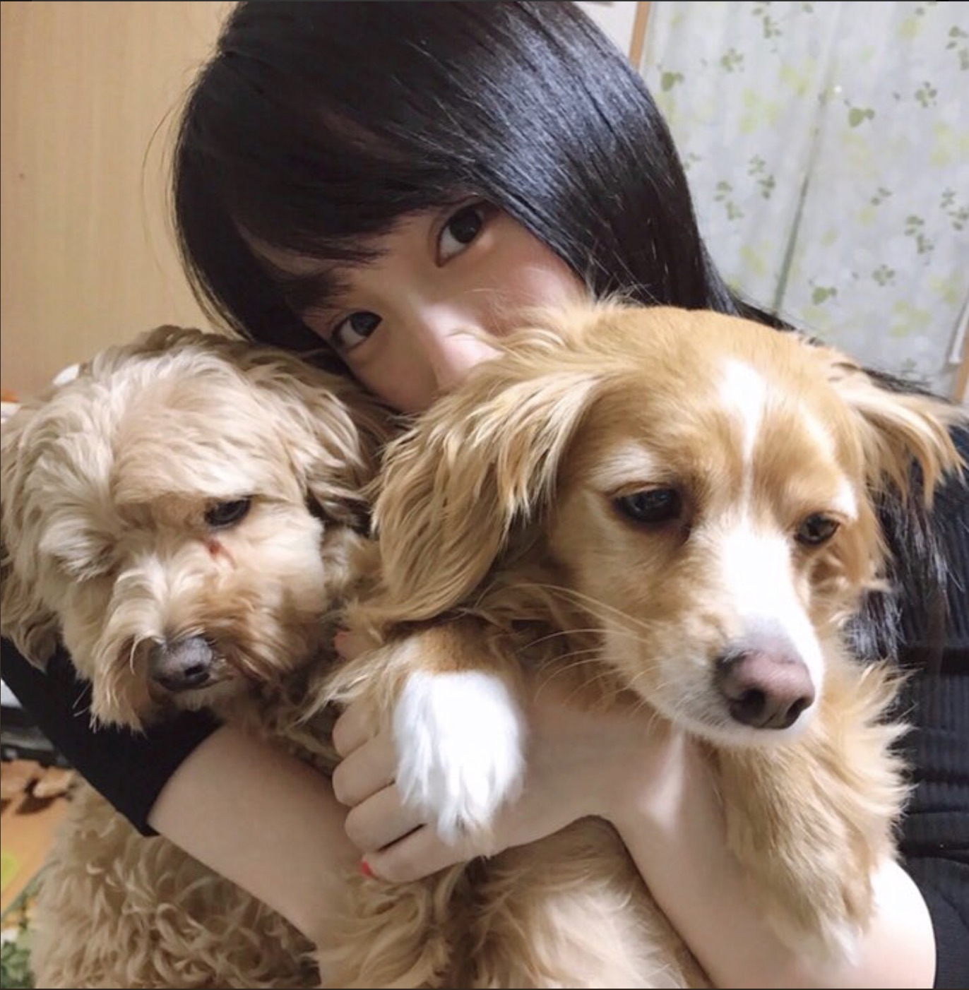 川栄李奈 愛犬との写真がかわいすぎると話題 犬になりたい の声も Rbb Today