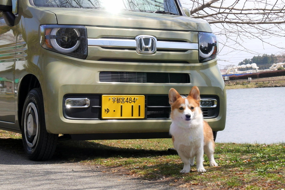 ワンコとお出かけ Vol 36 ホンダn Van Style Funが我が家にやってきた Rbb Today