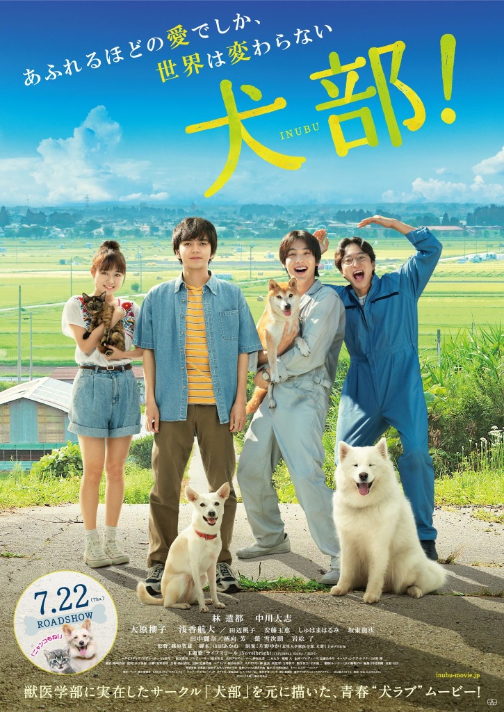 映画 犬部 動物愛護サークルの奮闘描く映像が初解禁 最新ポスターも公開に Rbb Today