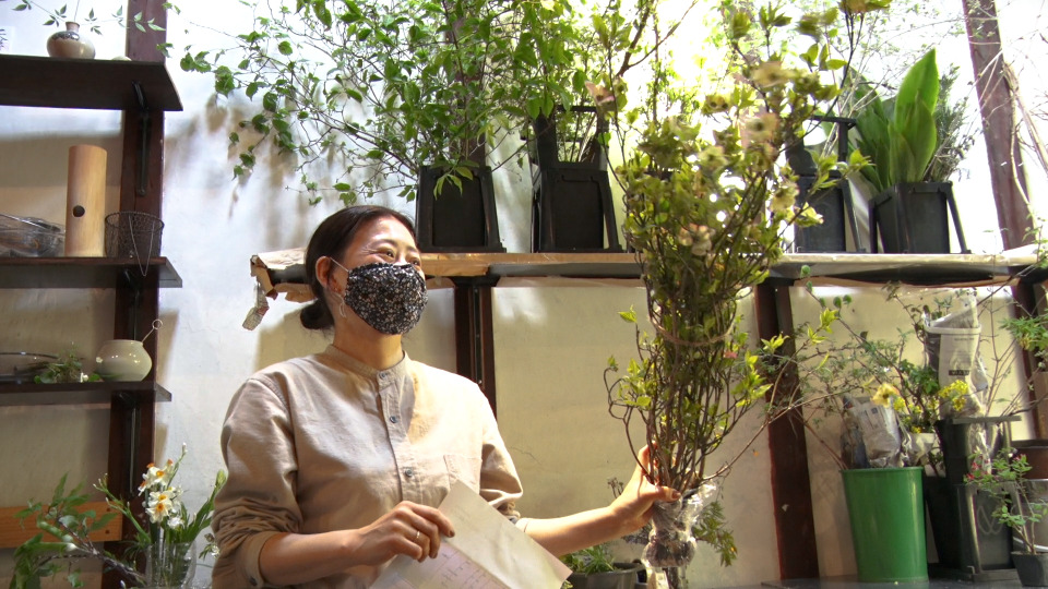 野山に咲く花だけを売る京都の専門店 花屋みたて 人気の秘密とは セブンルール Rbb Today