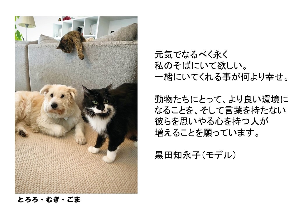 パナソニック 保護犬猫譲渡会 開催 来場時にステッカーがもらえるsnsキャンペーンも Rbb Today