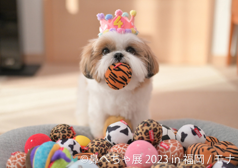 N3hr7wr4z4xq4m N3hr7wr4z4xq4m