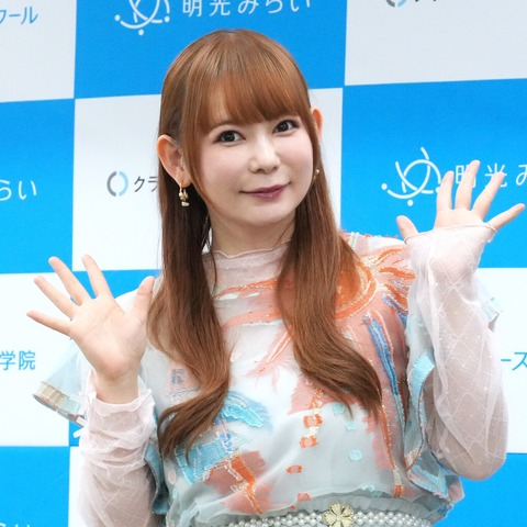中川翔子、不登校児をサポートする企業のアンバサダー就任！“双子の母”としての思いも吐露 画像