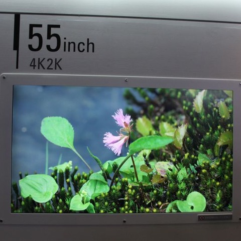 【FPD International 2013】かなりきれい！ パナソニックの55型4K2K対応 IPSディスプレイ 画像