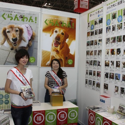 【Interpets 2014 Vol.16】シニア犬写真コンテストに投票して福袋をゲット 画像