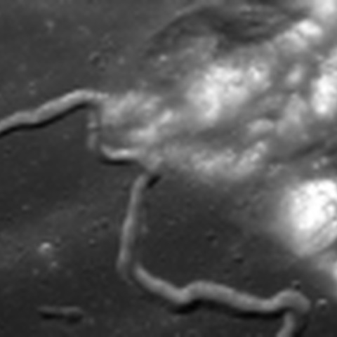 「かぐや」アポロ15号の噴射跡を確認 画像