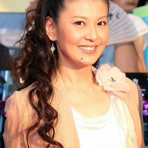 南野陽子、アイドル時代は自ら「恋愛禁止」に! 共演者とは4つの言葉でしか会話せず 画像
