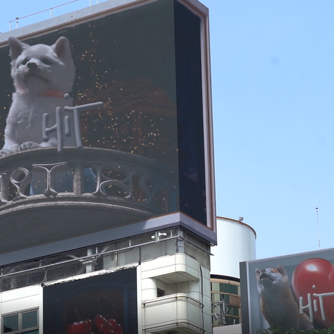 渋谷の大型ビジョンから巨大な秋田犬が飛び出す!?肉眼3D動画が公開に 画像