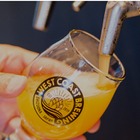 全国6ブルワリーとしらすグルメが集結！静岡市・用宗漁港でビール祭り11日・12日に開催 画像