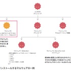 【インフラストラクチャセキュリティ】「標的型攻撃とOperation Aurora」Vol.4～標的型攻撃とOperation Aurora～ 画像