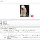 日本オラクルの“社員犬”ウェンディが死去 画像