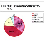 どんな時にディズニーランドに行きたい？……400人の“大人”に調査 画像