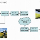 NTTとNHK、IPネットによるスーパーハイビジョンライブ中継に成功 画像