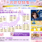 全国約1000ヵ所の開花状況が毎日更新、Yahoo! JAPAN「お花見特集2011」 画像