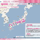 全国の桜の開花状況をリアルタイムで提供……ウェザーニューズの「SAKULiVE」 画像