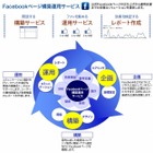 DNP子会社、企業向けFacebookページの構築・運用サービスを開始 画像