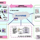 NTT東西、テレビ電話によるクラウド型サービス「ひかり健康相談」提供開始 画像