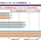 青少年のネット利用やトラブル経験の実態、保護者の認識を上回る 画像