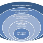 SAPジャパン、中小企業向けエントリー版アナリティクス「SAP Crystal Server 2011」発売 画像