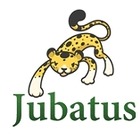 NTTとPFI社、ビッグデータのリアルタイム処理を可能にする新技術「Jubatus」を開発 画像