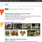 Googleが検索対象にGoogle+を含めるサーチ・プラスを発表  画像