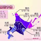 ウェザーニューズ、全国2万ヵ所の桜の開花予想を発表……寒気の影響で昨年よりやや遅め 画像