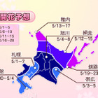 都心の桜が今週末開花、来週末には満開に！……ウェザーニューズ、第四回開花予想発表 画像