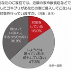 屋外で発生したゴキブリが自宅に侵入……“もらいゴキ”、対策できている人は16％ 画像