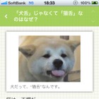 なぜ「犬舌」じゃなく「猫舌」？……無料iPhoneアプリ「巷のB級ニュースを毎日配信！『Excite Bit コネタ』」 画像