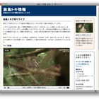 放鳥トキ子育て、ライブ映像を配信 画像