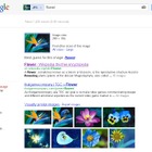 Googleの画像検索が進化、花の種類まで判別して検索 画像