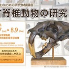 【夏休み】脊椎動物の化石の研究法を学ぶ 画像