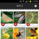 虫の写真を撮るだけで名前や特徴がわかる?!……Androidアプリ『虫判定器』 画像