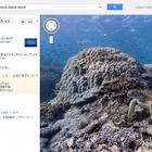 Googleストリートビュー、海中も見られるように……海ガメ、マンタ、海底の様子など 画像