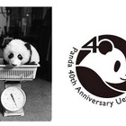 パンダ来日40周年記念イベント 10月28日 画像