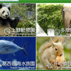 都立動物園・水族園「Visit ほっと Zoo 2013」…プレイベントも開催 画像
