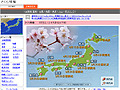 【特集】東京で3/20桜が開花〜平年より8日早く 画像