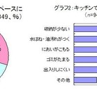 7割の女性がキッチンスペースに不満…キッチンで一番邪魔なものとは？ 画像