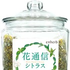 花粉対策ブレンドティーがエンハーブより限定発売 画像