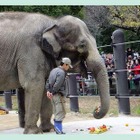 上野動物園・多摩動物園・井の頭自然文化園のイベント情報 画像