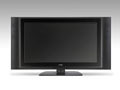 バイ・デザイン、地デジチューナー内蔵26V型液晶テレビをドン・キホーテで先行販売 画像