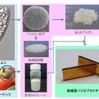 産総研・NEC・宮崎大、ミドリムシを主原料とするバイオプラスチックを開発 画像