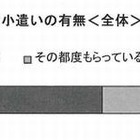 高校生の消費生活と生活設計　アンケート調査 画像