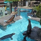 【春休み】動物園・水族園でイベント満載 画像